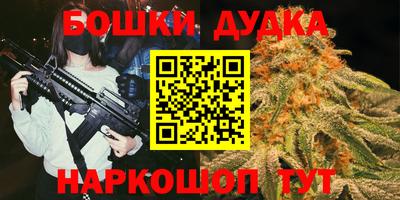 гидра Партизанск
